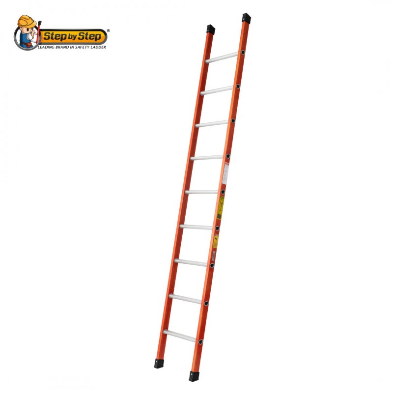 Single pole deals ladder